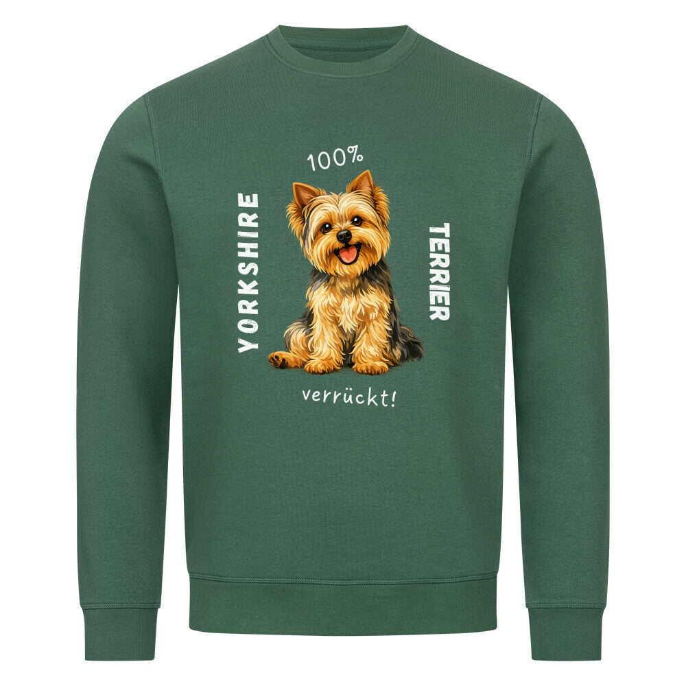 Image for color: varsity green